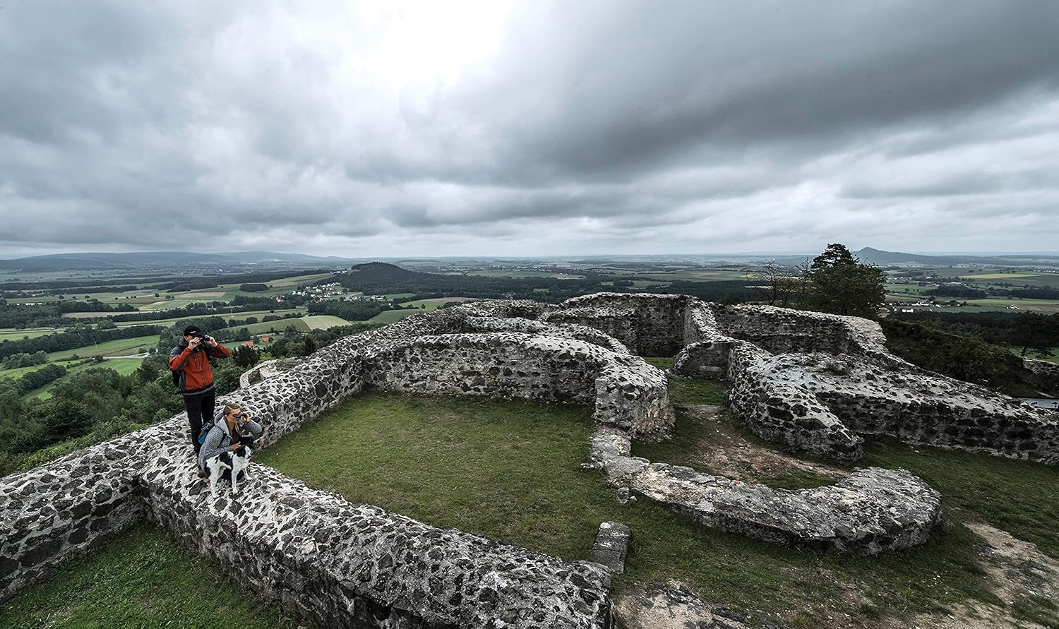 Uр Tо 60% оƒƒ Steiner Safari UltraSharp Binoculars Compact Lightweight Performance Outdoor Optics