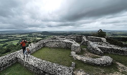 Miniatura 4 de Steiner Safari UltraSharp - Prismáticos ópticos compactos para exteriores, 10 x 42