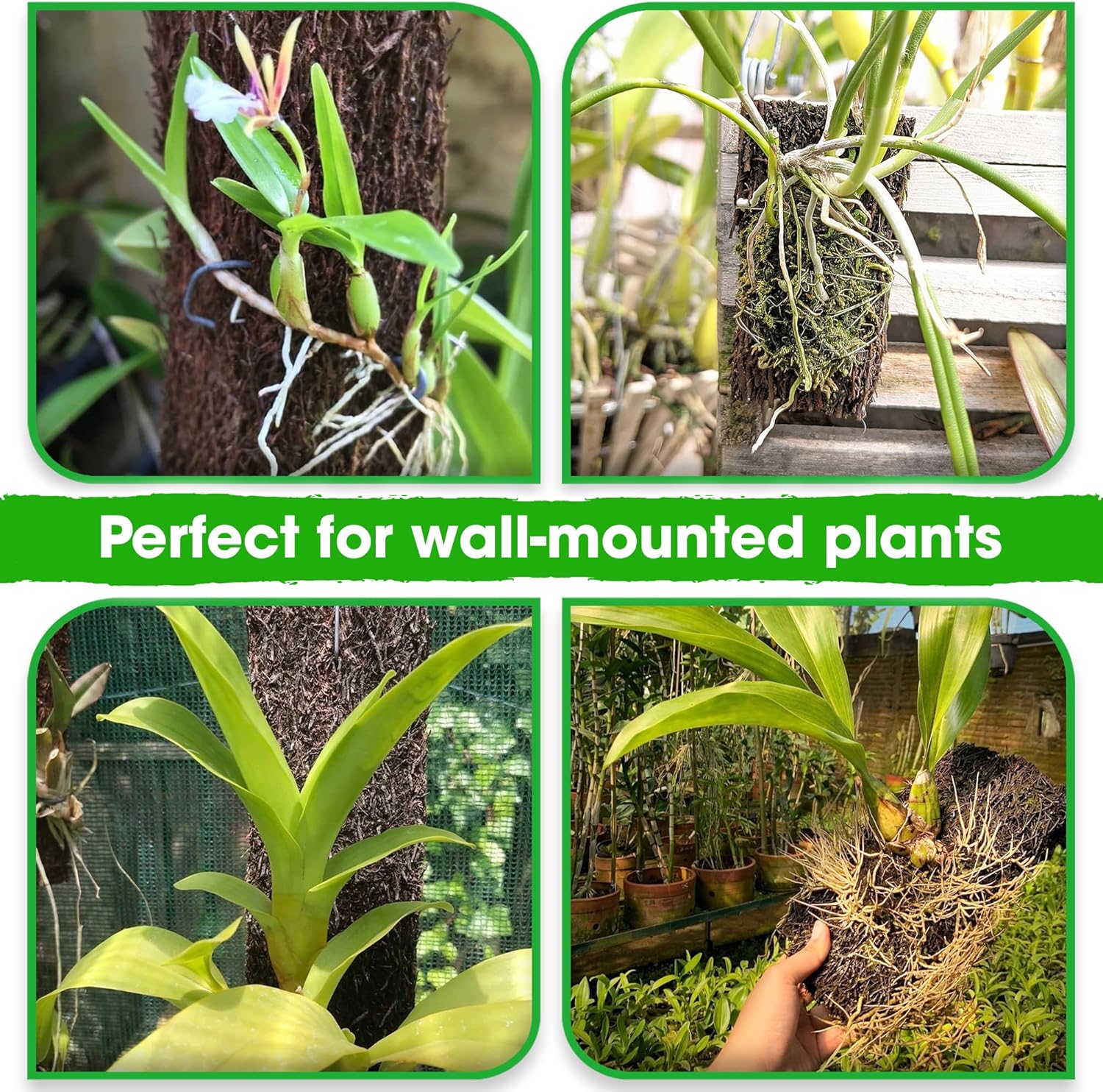 DUSPRO 1Pcs 7'' x 23'' Tree Fern Fiber Board for Orchids, Aroids and Other Climbing Plants, Staghorn Fern Mount