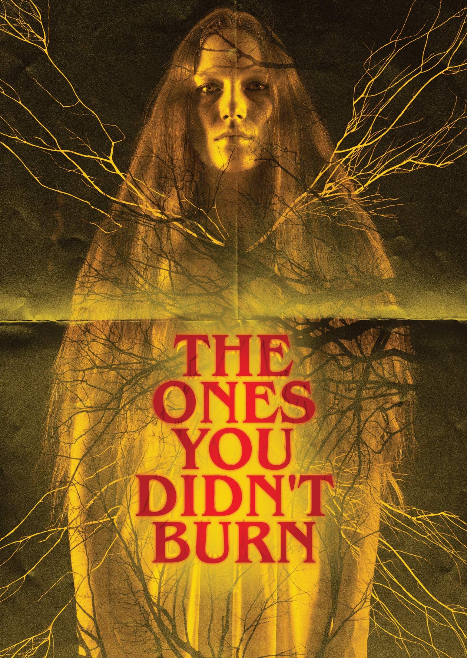 The Ones You Didn't Burn DVD si buscas cine de terror psicológico original