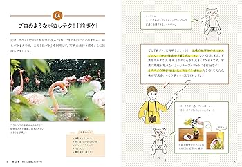 カメラ一年生 カメラ1年生 デジタル一眼カメラ編 (たのしいカメラ学校の教科書
