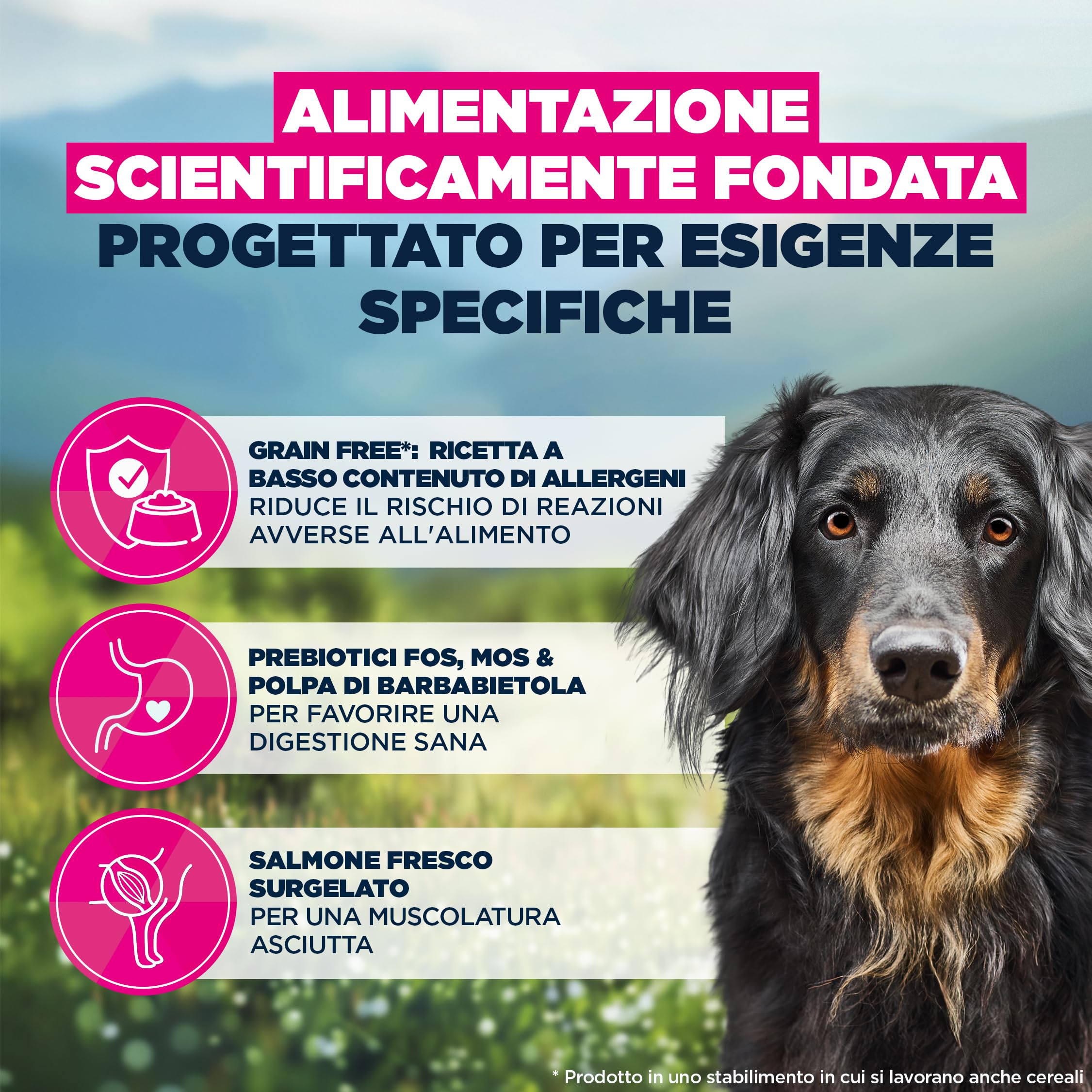 Eukanuba Mono-Protein Salmone crocchette - Cibo secco con salmone come unica fonte proteica animale, ricetta a basso contenuto di allergeni, 12 kg