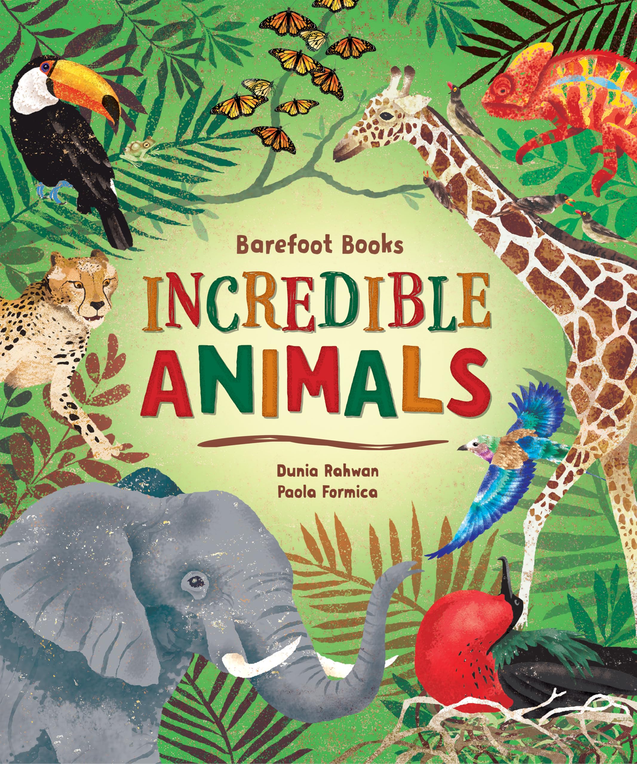 Barefoot Books Incredible Animals: 1 Hardcover – Picture Book, 22 Sept. 2020