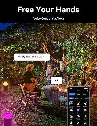 Miniatura 5 de Luces de camino al aire libre 500LM, iluminación de paisaje de bajo voltaje, aplicación inteligente y control Alexa, IP67 impermeable, luces de
