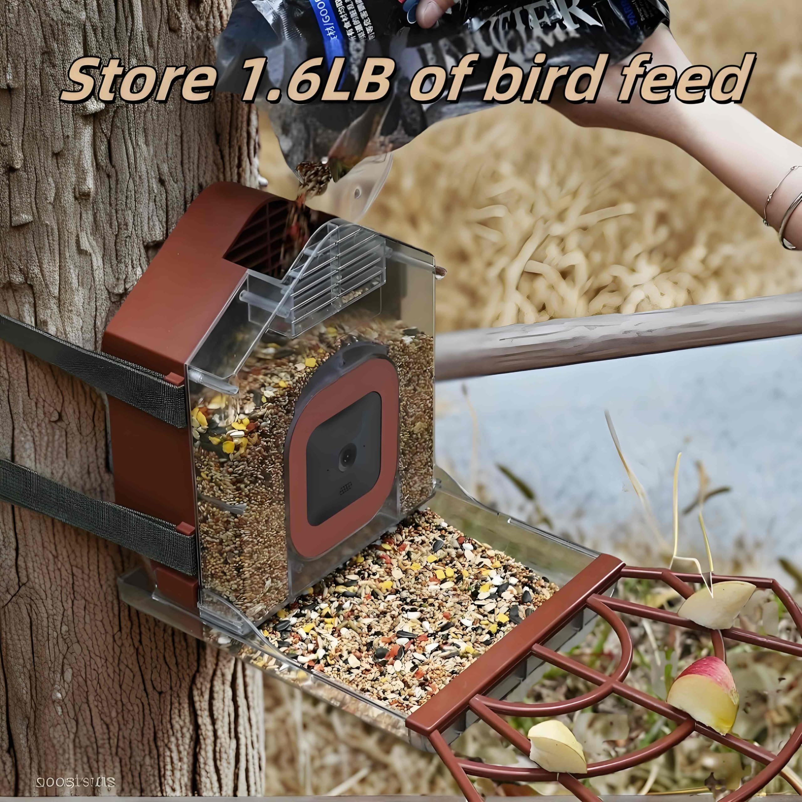 Comedero Pájaros con Cámara Casa Exterior Compatible con Soporte Cámara Blink Impermeable Gran Capacidad 1.6LB Estación Monitoreo Fauna (Cámara no Incluida)