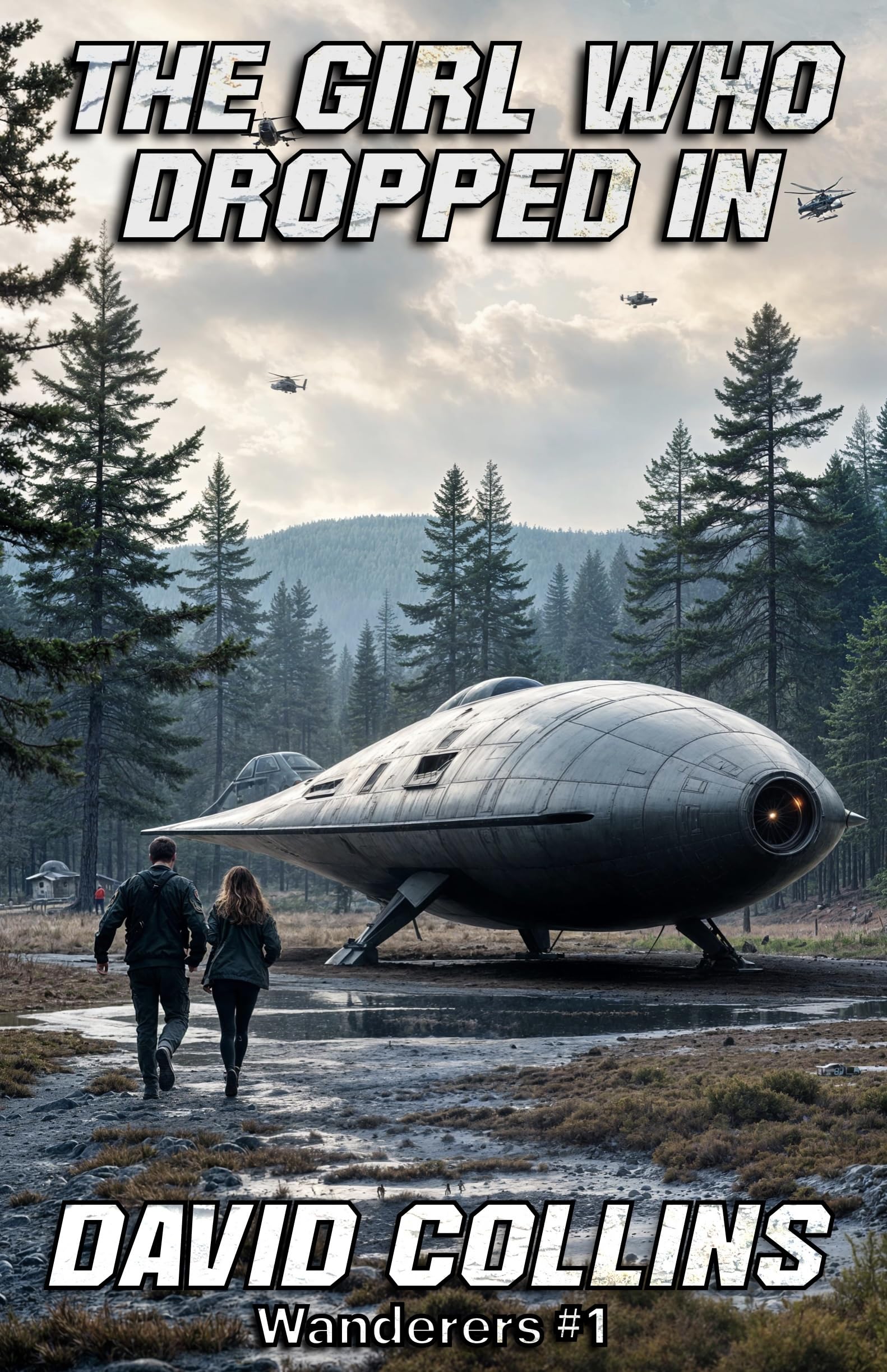 The Girl Who Dropped In (Wanderers Book 1)