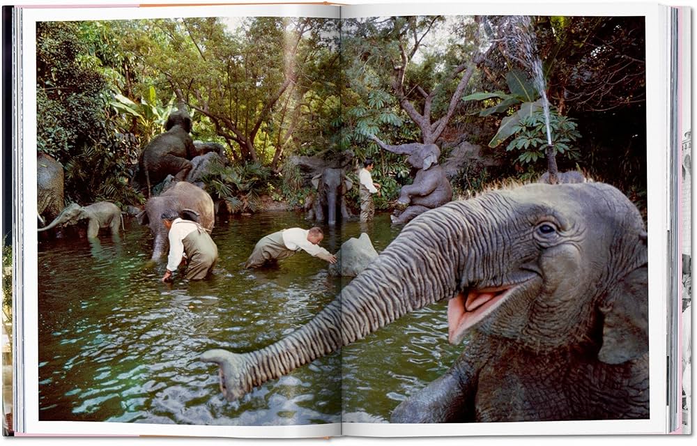 918CSS9ZN7L._AC_UF1000,