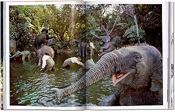 918CSS9ZN7L._AC_UF350,