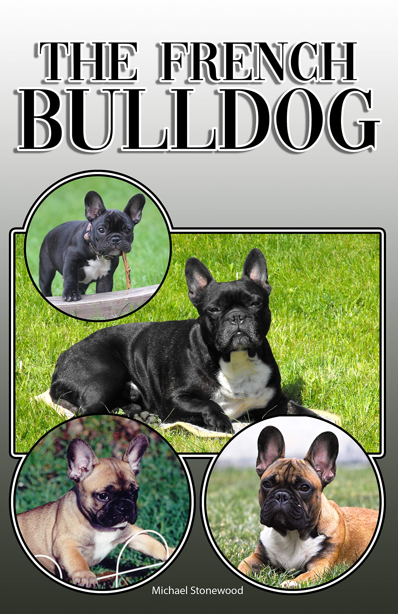 The French Bulldog: A Complete and Comprehensive Owners Guide to: Buying, Owning, Health, Grooming, Training, Obedience, Understanding and Caring for Your French Bulldog