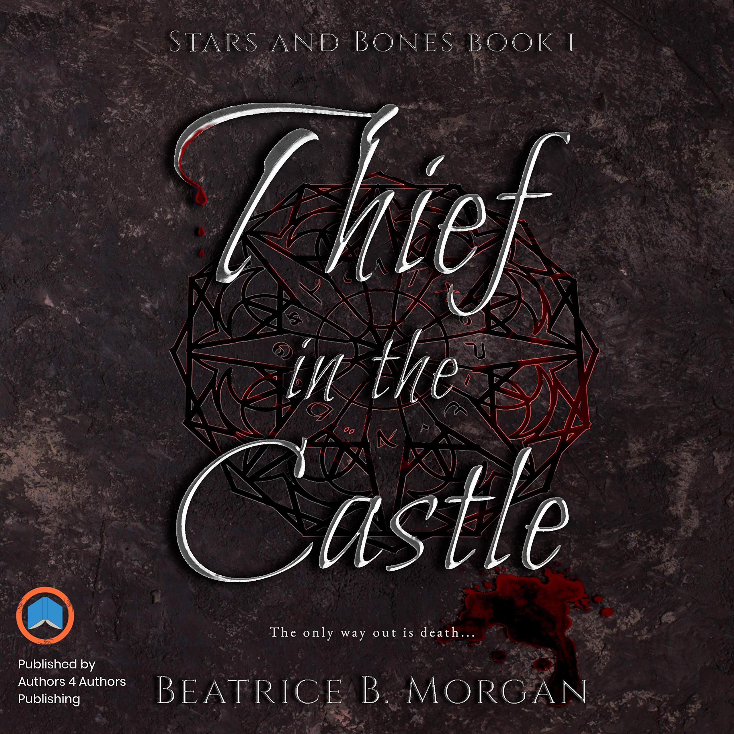 Cover art for Thief in the Castle