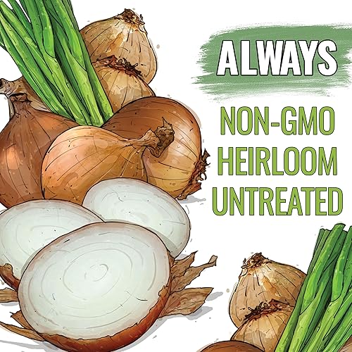 Miniatura 4 de Seed Needs Semillas de cebolla para plantar cebollas Walla Walla, semillas de verduras sin OMG y sin tratar para plantar un jardín de verduras