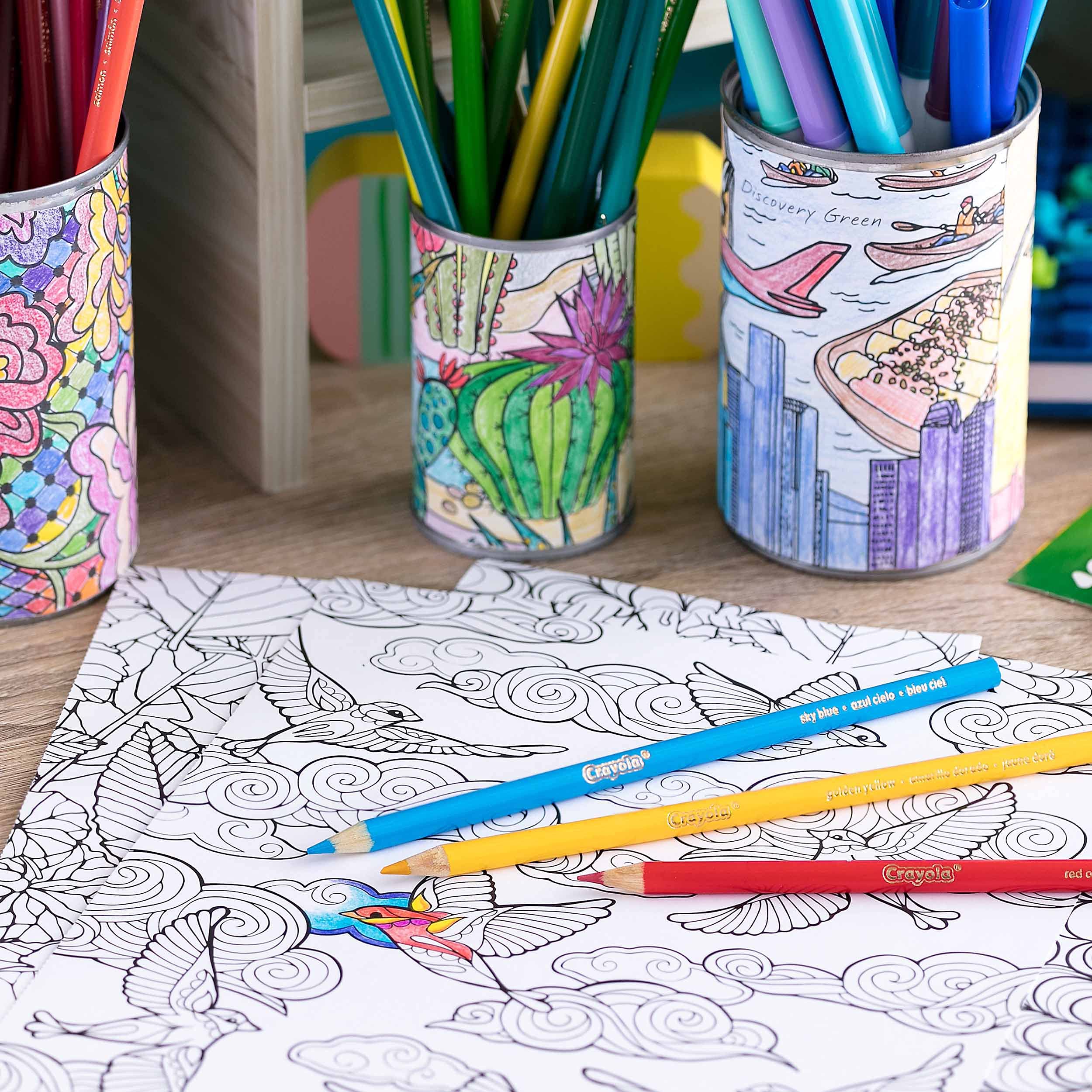 Crayola 3.3685 Farbstifte 288 Klasse Pack