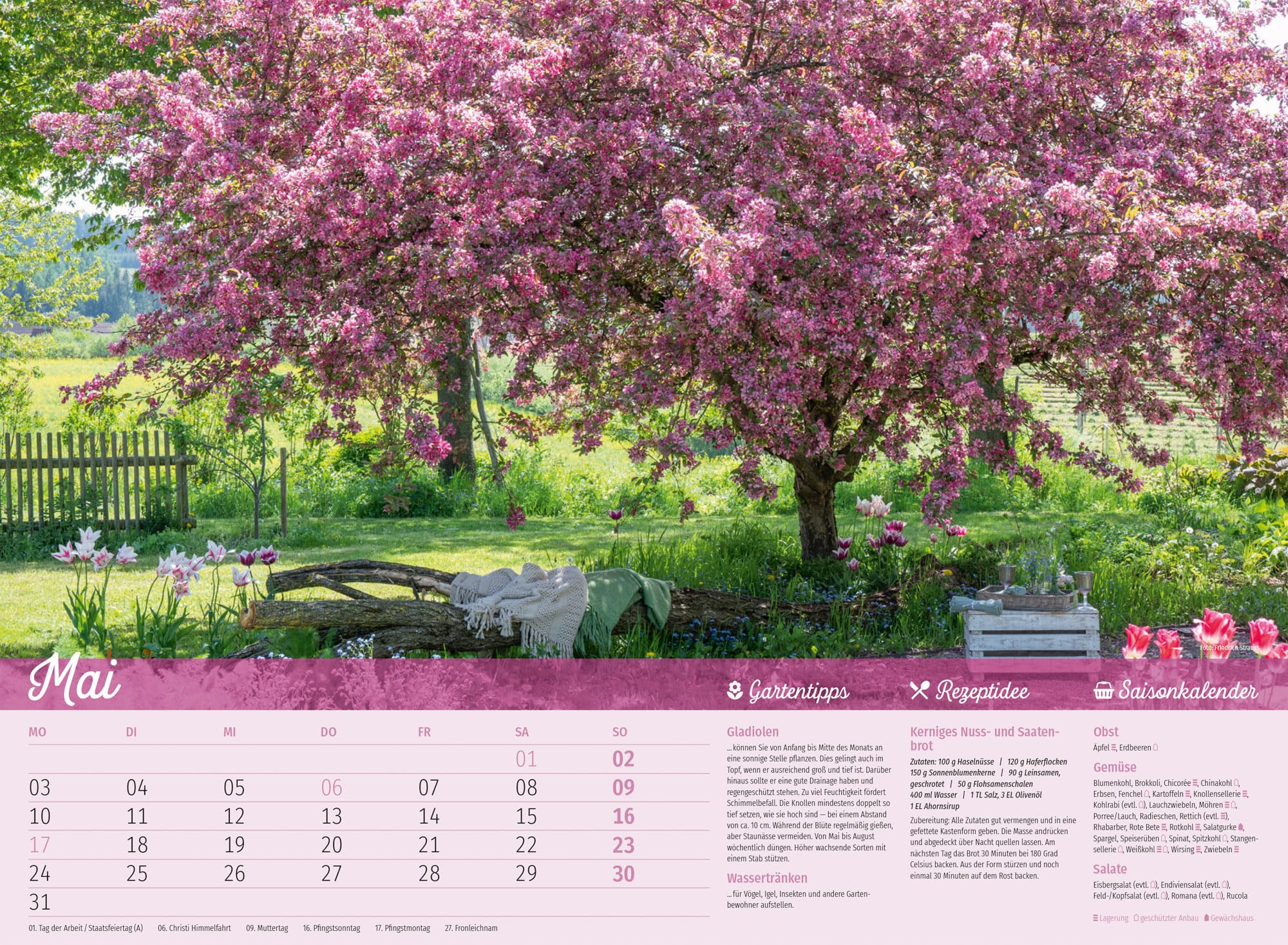 Landliebe Garten-Kalender 2027: Blumen- und Gartenmotive im Querformat (45x33 cm) | Mit Tipps zum Gärtnern und für die Küche sowie Saisonkalender