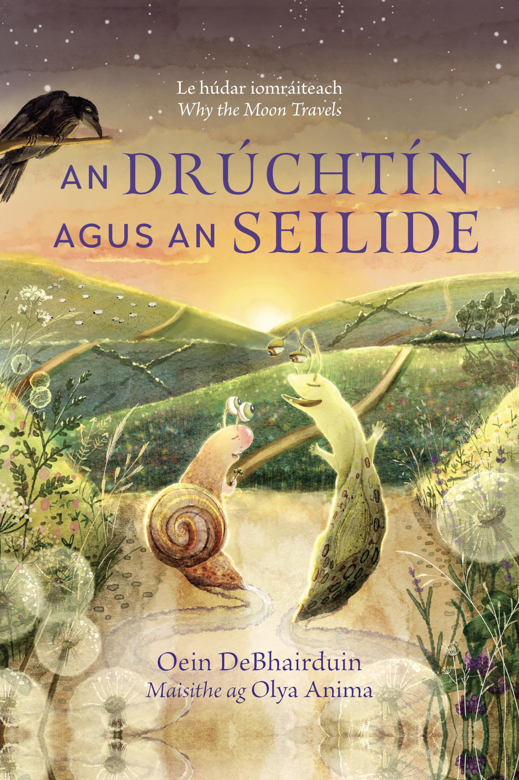An Druchtin agus an Seilide by Oein DeBhairduin (Hardback Book)