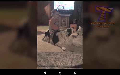 Funny Videos – vue 3