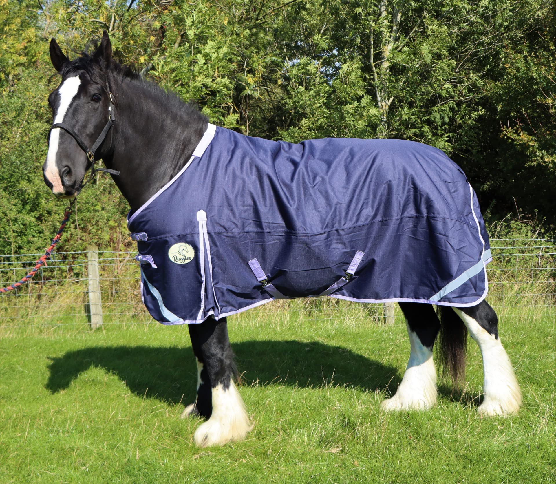 Ruggles 280g Middleweight Turnout Rug for Heavy Horses Shire Clydesdale Percheron | Durable 1200D Teflon Coated Outer Fabric | Waterproof Breathable | Ideal for Colder Months (Graphite 7')