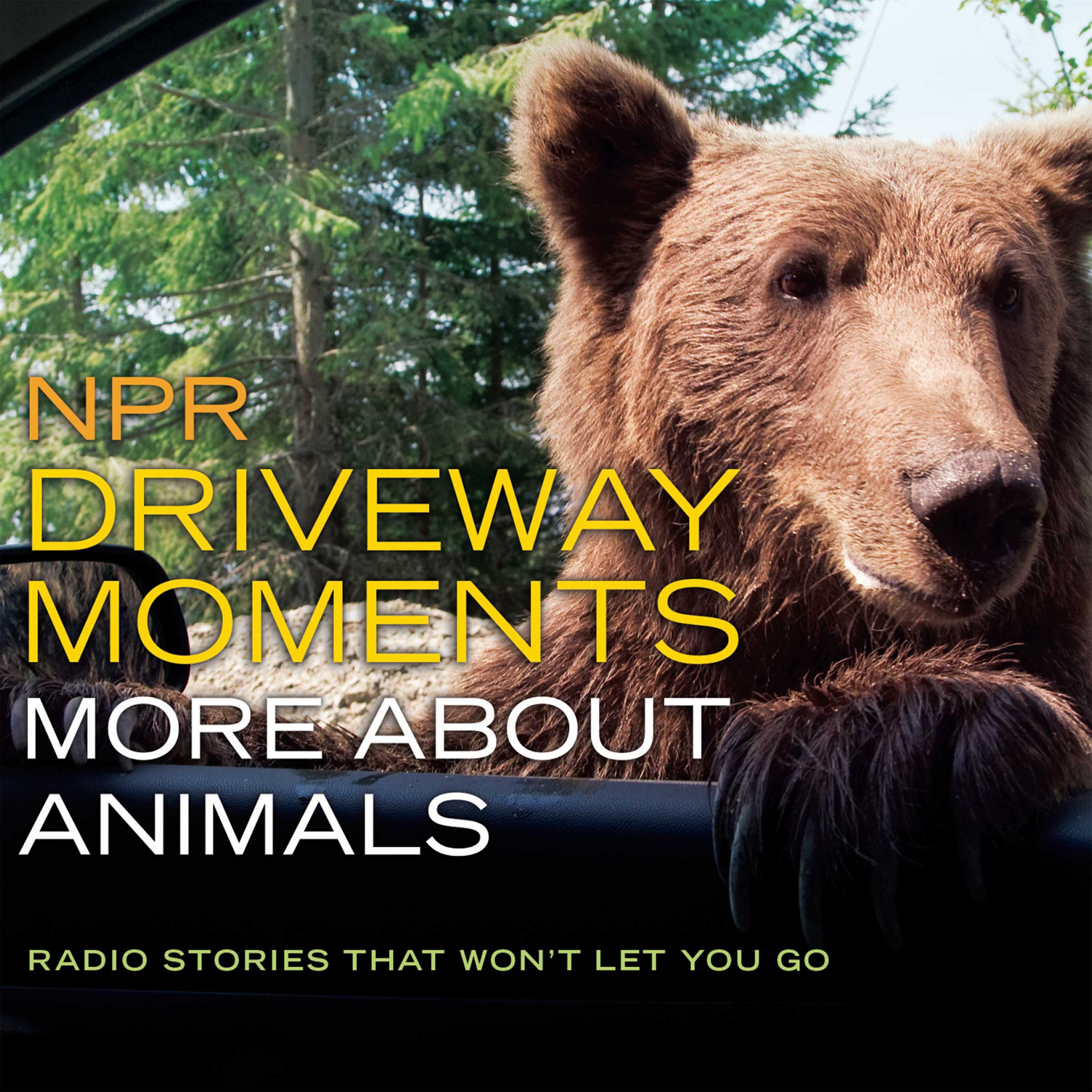 Cover art for NPR Driveway Moments: More about Animals