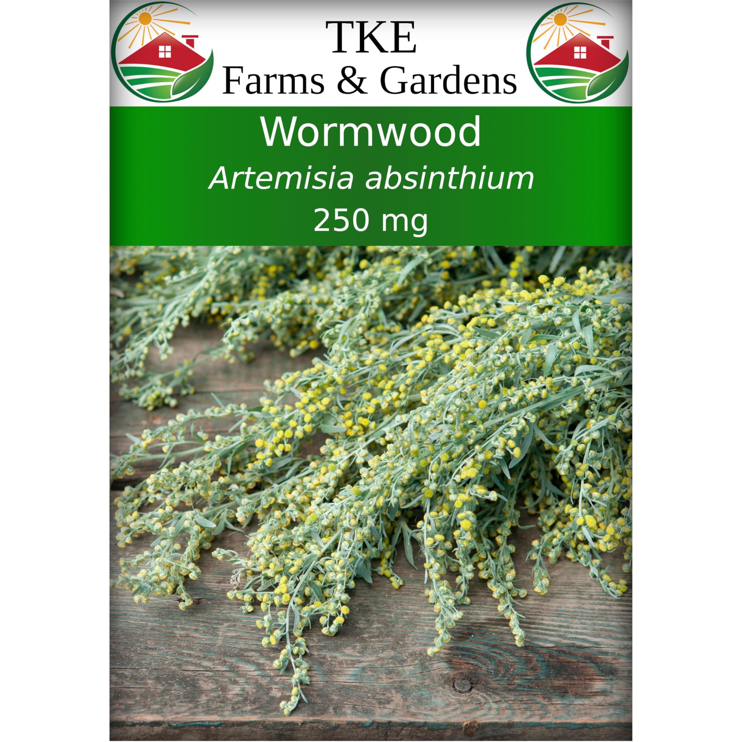 TKE Farms & Gardens - Wormwood Seeds for Planting, 250 Mg, 1000+ Seeds, Heirloom, Non-GMO, Artemisia Absinthium, Includes Growing Instructions, Perennial Herb