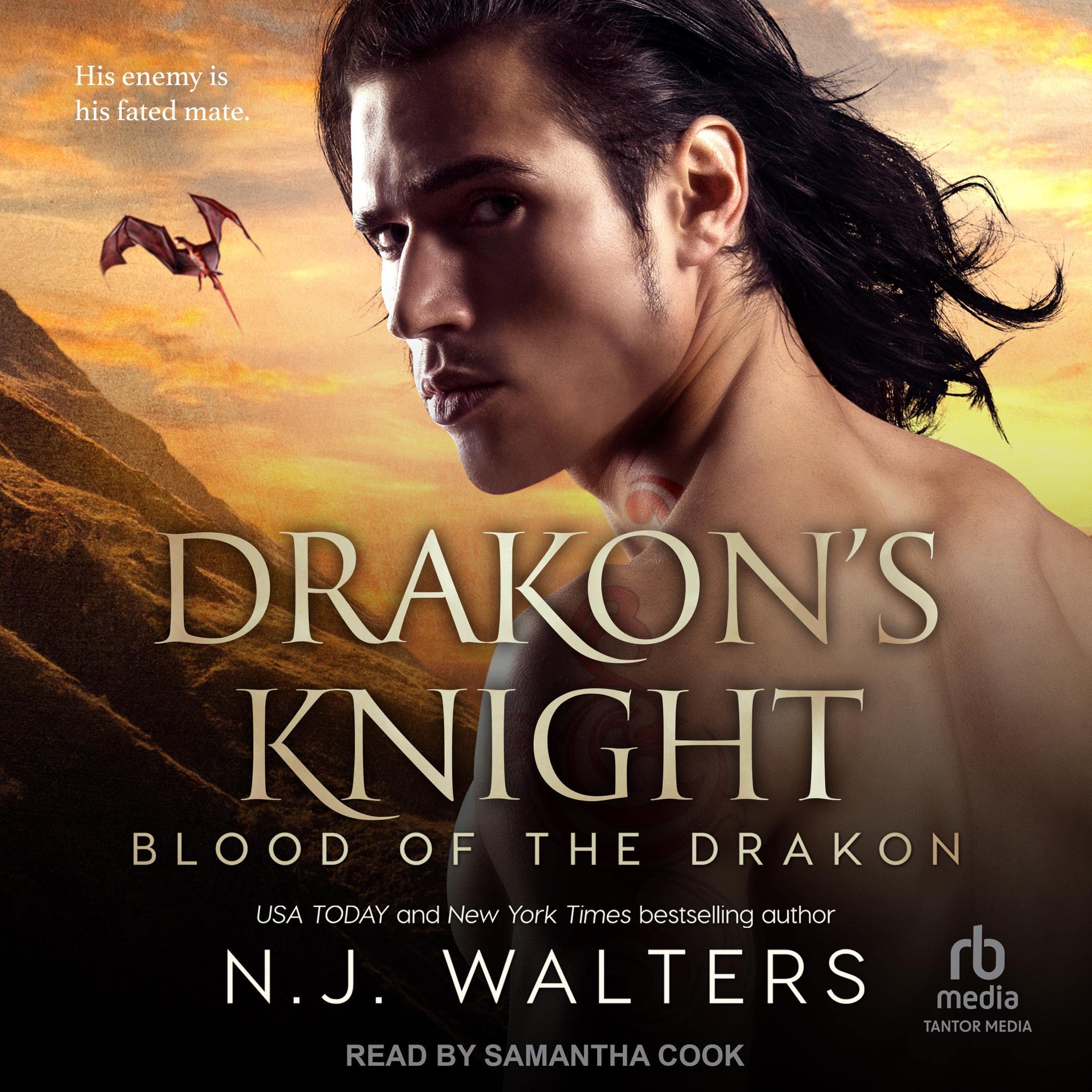 Cover art for Drakon’s Knight