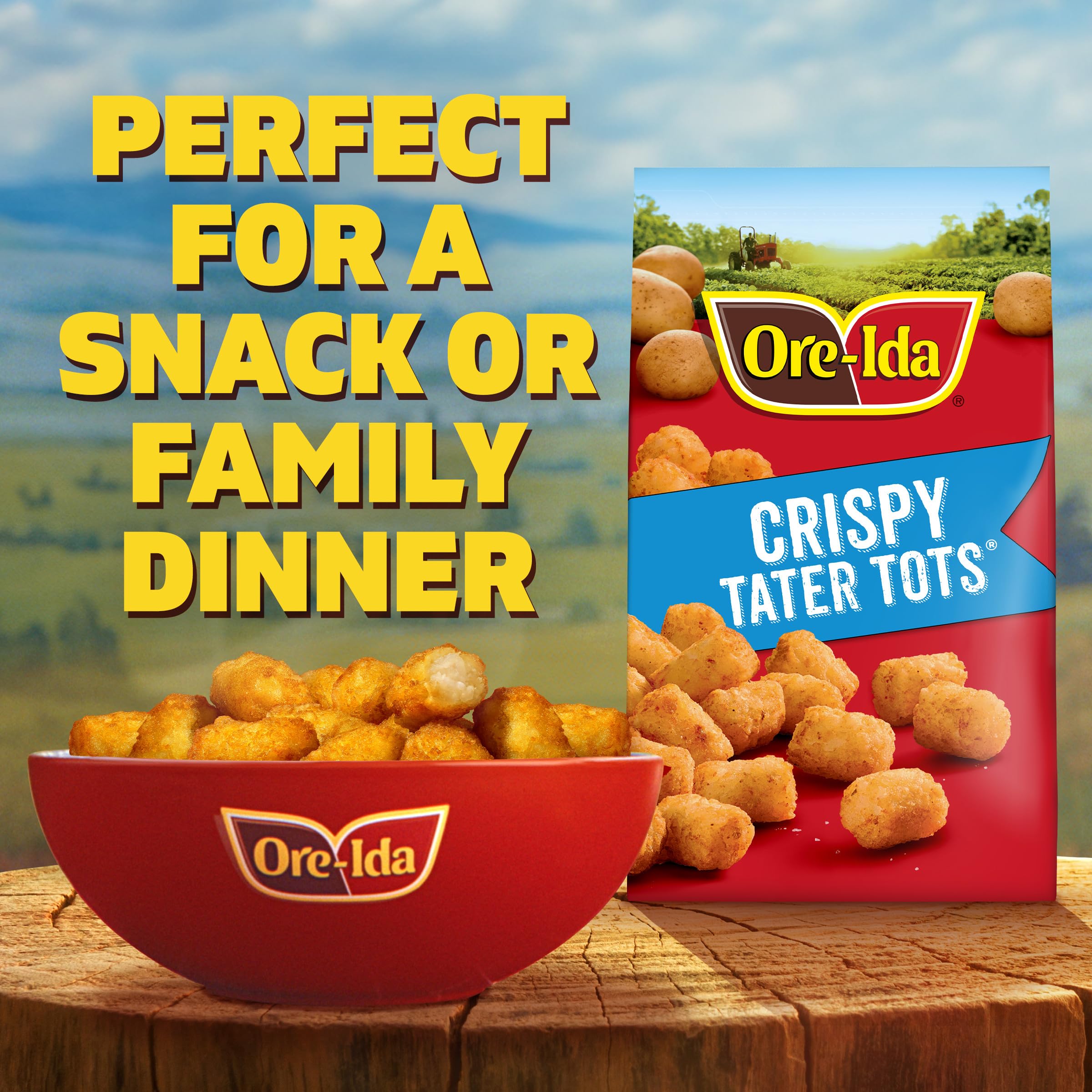 Ore-Ida Crispy Tater Tots Seasoned Shredded Frozen Potatoes 32 oz Bag — view 5