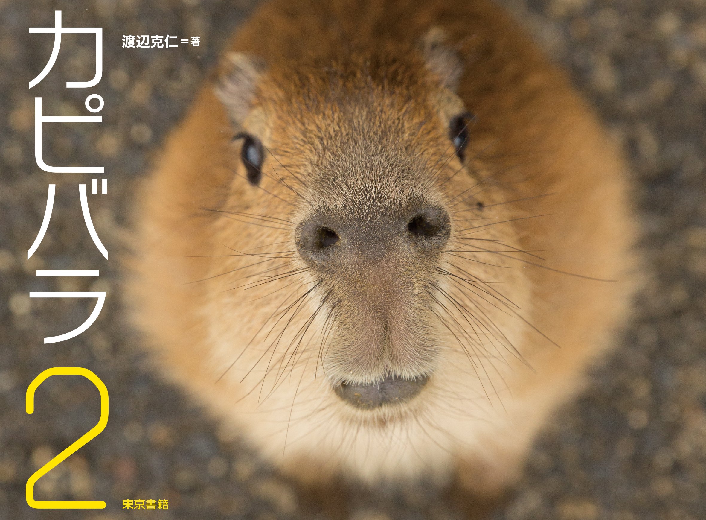 カピバラ2 渡辺 克仁 渡辺 克仁 配送料無料