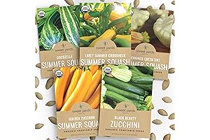 Summer Squash, Zuchinni Seeds: Your Organic Home Garden Variety Pack Experience