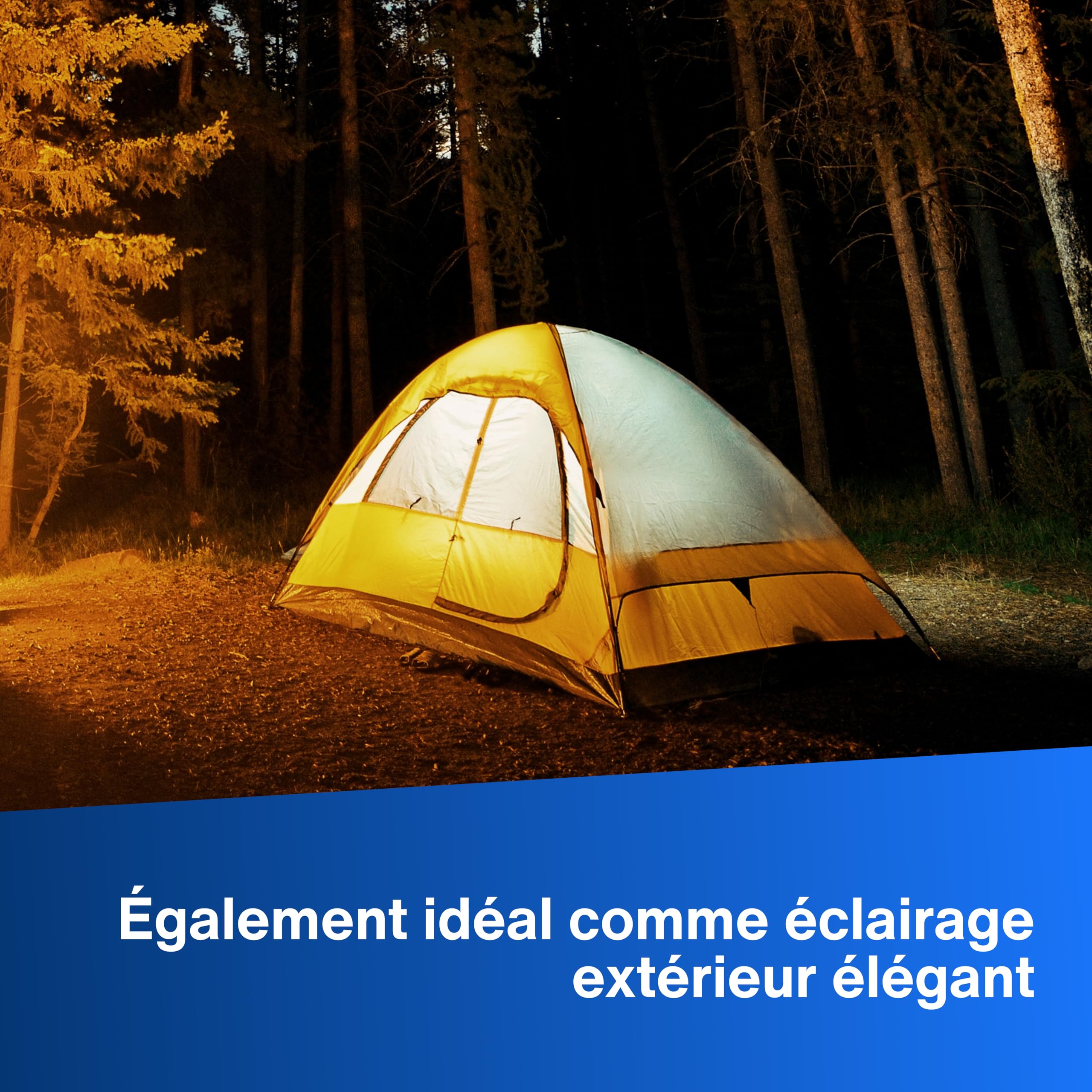 REV Applique murale LED - Lampe murale avec batterie et détecteur de mouvement, 180 lm, sans fil, intensité réglable, pivotante à 360°. Lampe d'appoint - Camping, garage et cave, IP54, noir