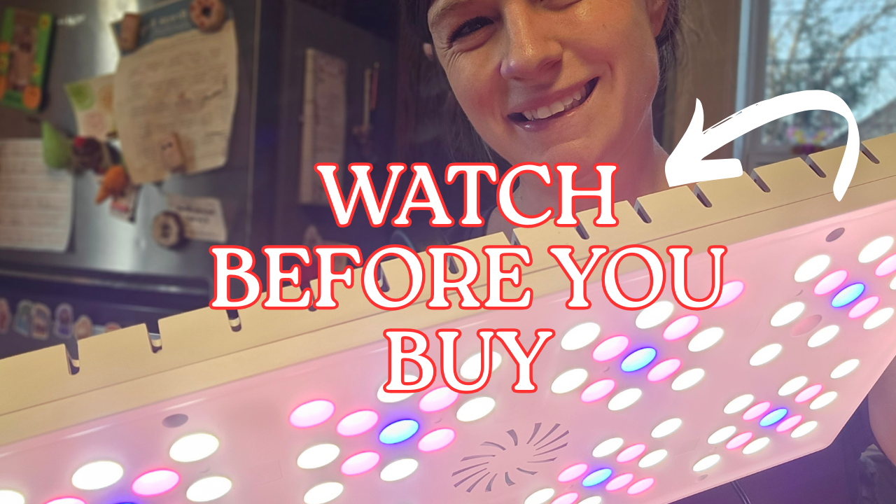 Watch So many cool features to this grow light! on Amazon Live
