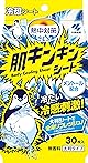 熱中対策 肌キンキンシート 大判シートで全身さっぱり 冷感 汗拭きシート 無香料 30枚 小林製薬