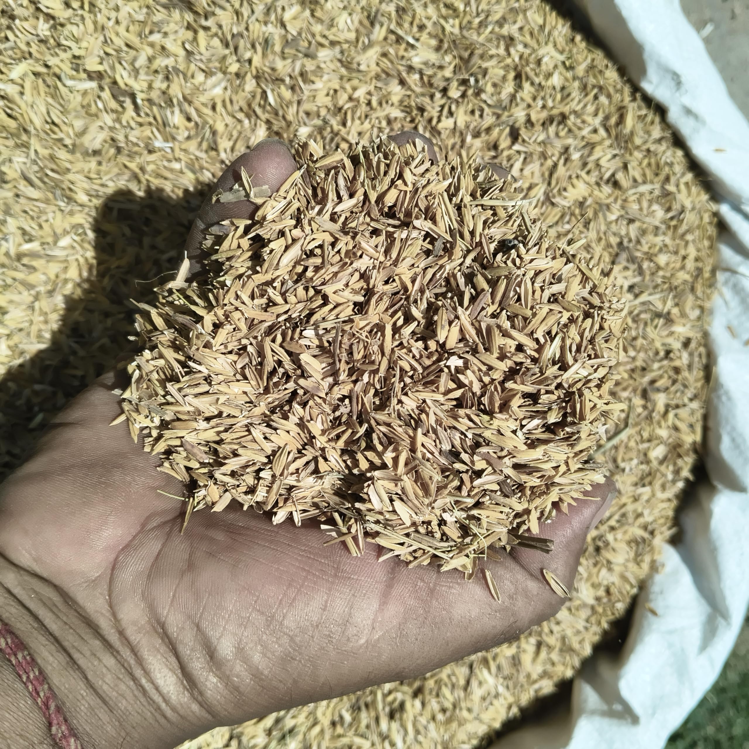 Rice Husk for Plants, Dry and Clean, 1900 Gram-image-41