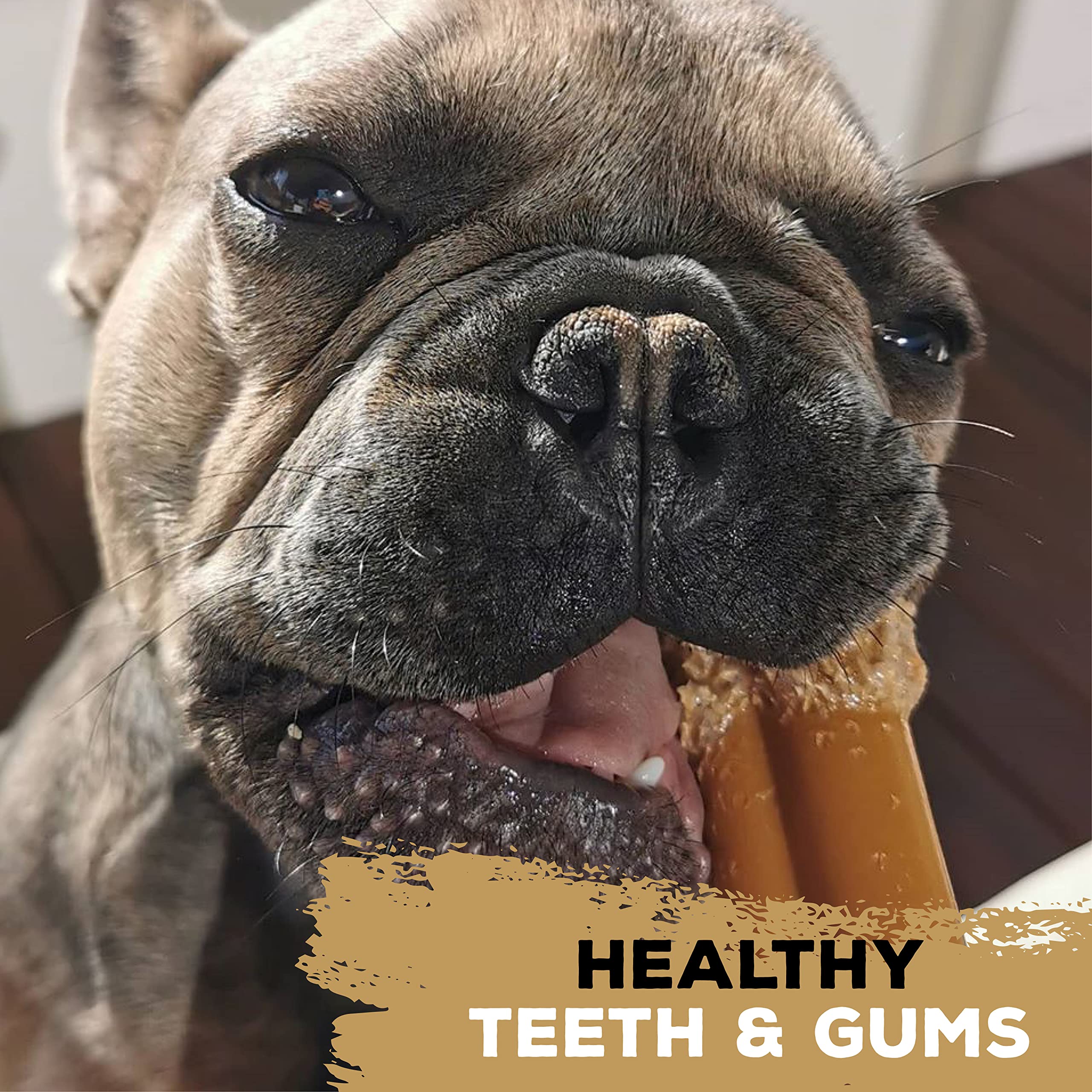 TastyBone Nylon Dog Chew Toy for Toy Dogs (Bacon), Indestructible for Aggressive Chewers Everlasting Flavour - Image 4