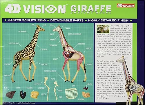 Miniatura 2 de Famemaster 4D Vision - Anatomía de jirafa