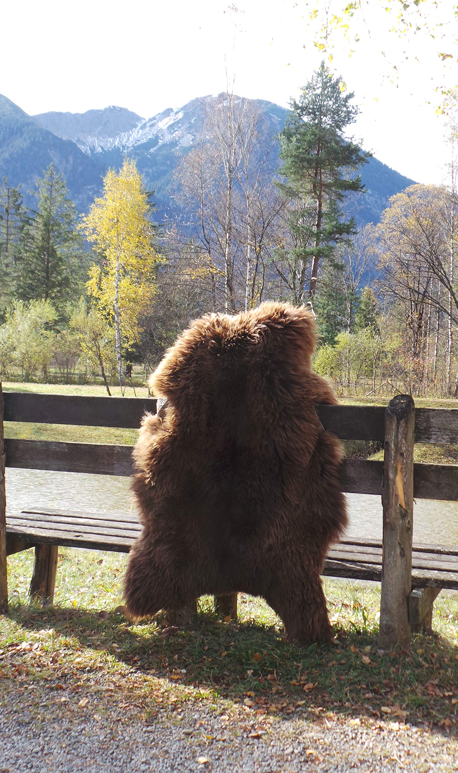 Profilo In Qualsiasi Momento Sistema Cosciotto Di Agnello Nel Forno A Legna Cesp - Foto 10