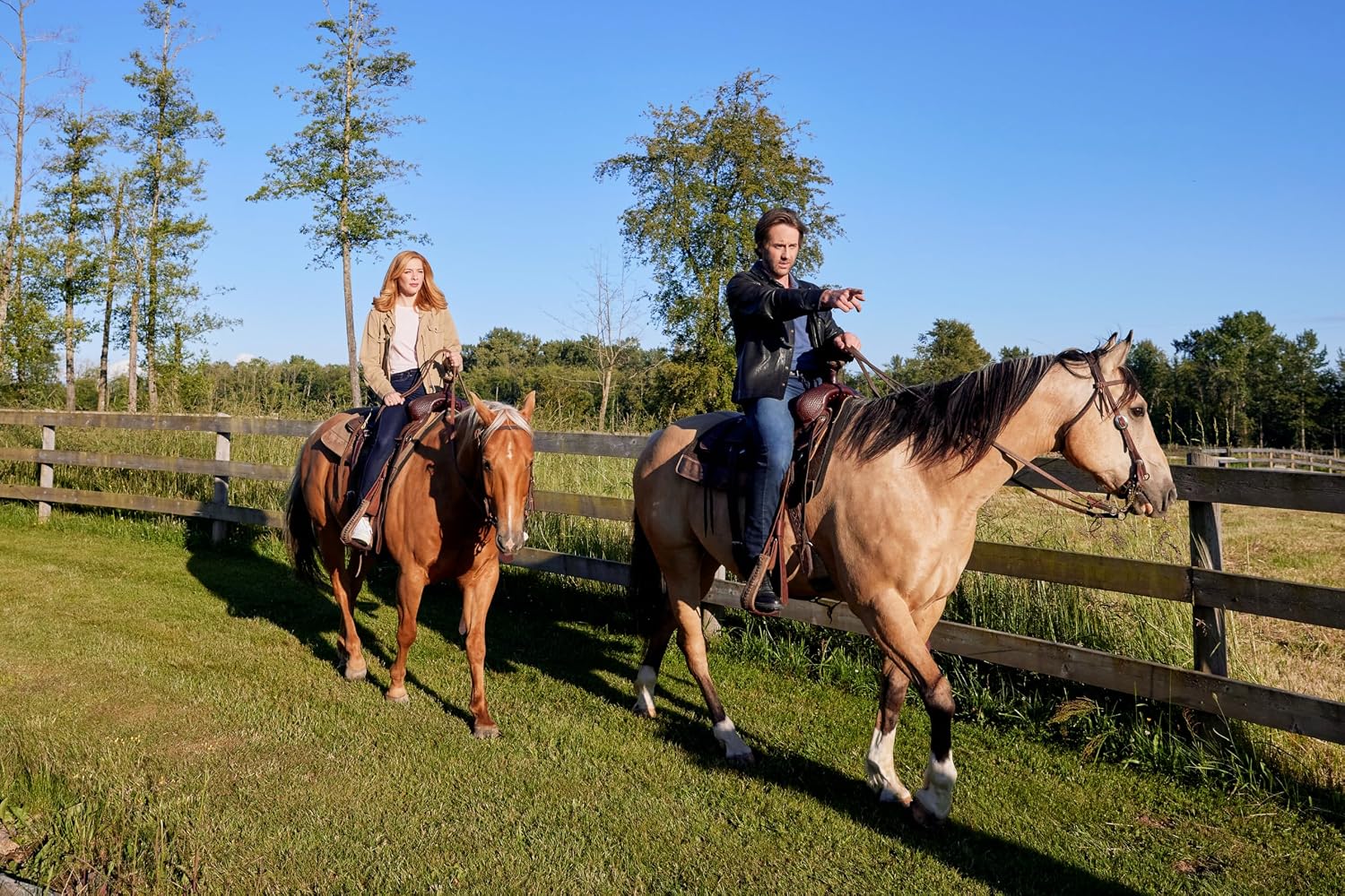 Hallmark Channel 2-Movie Collection (The Secrets of Bella Vista / Mystery Island) image 3