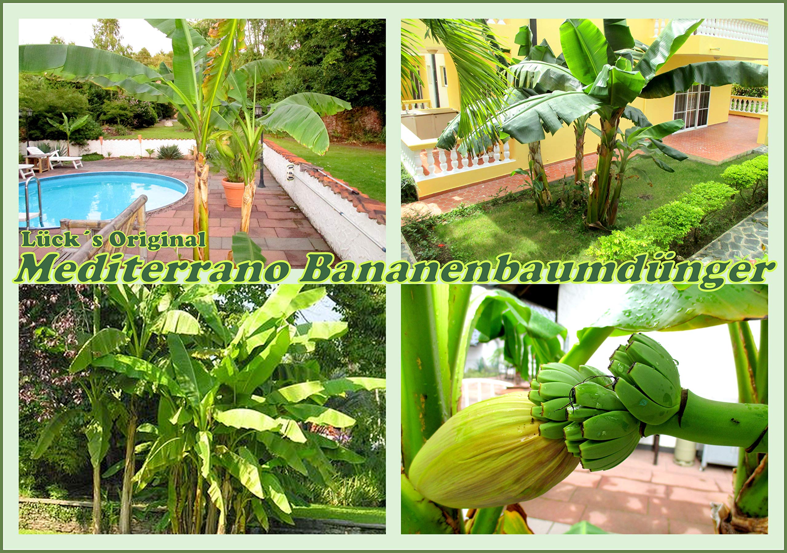 Abono para palmeras, arboles de plantas tropicales como olivas, limones