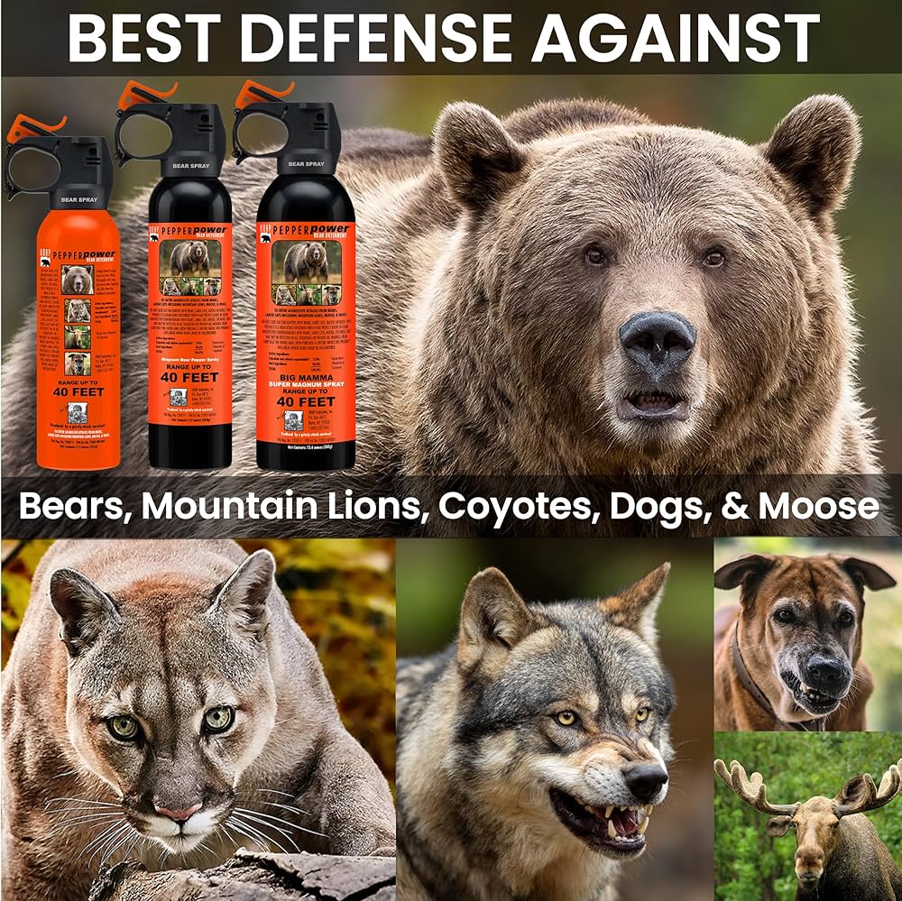 クマ ペットベッド ペットベッド 防湿 通気性 グランドベッド 高さ調節可能