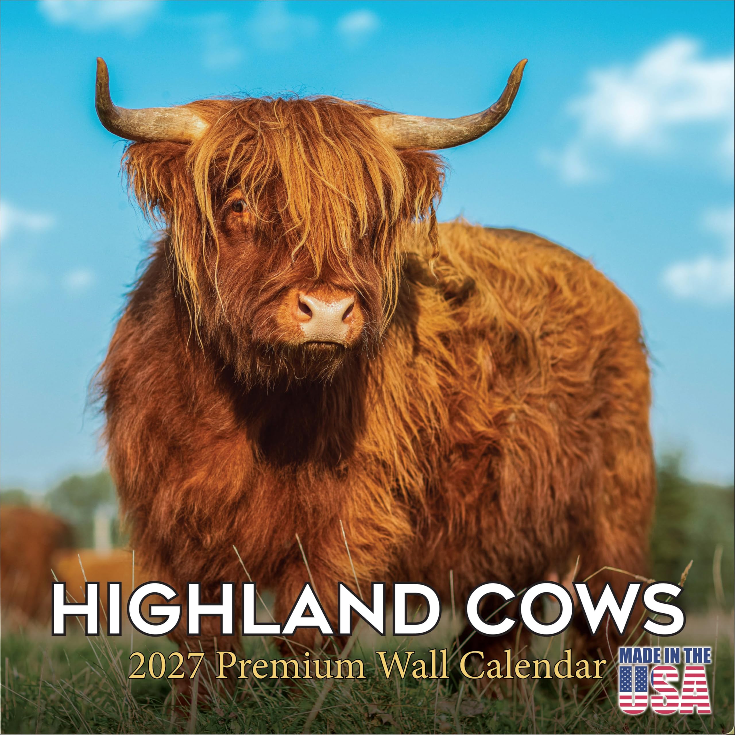 Monats-Wandkalender 2024 2025 Hochlandkühe – Wildtierkalender – 30,5 x 61 cm offen – dickes Papier ohne Blutung – Geschenk – akademischer Lehrerplaner Kalender Organisations- und Planungskalender