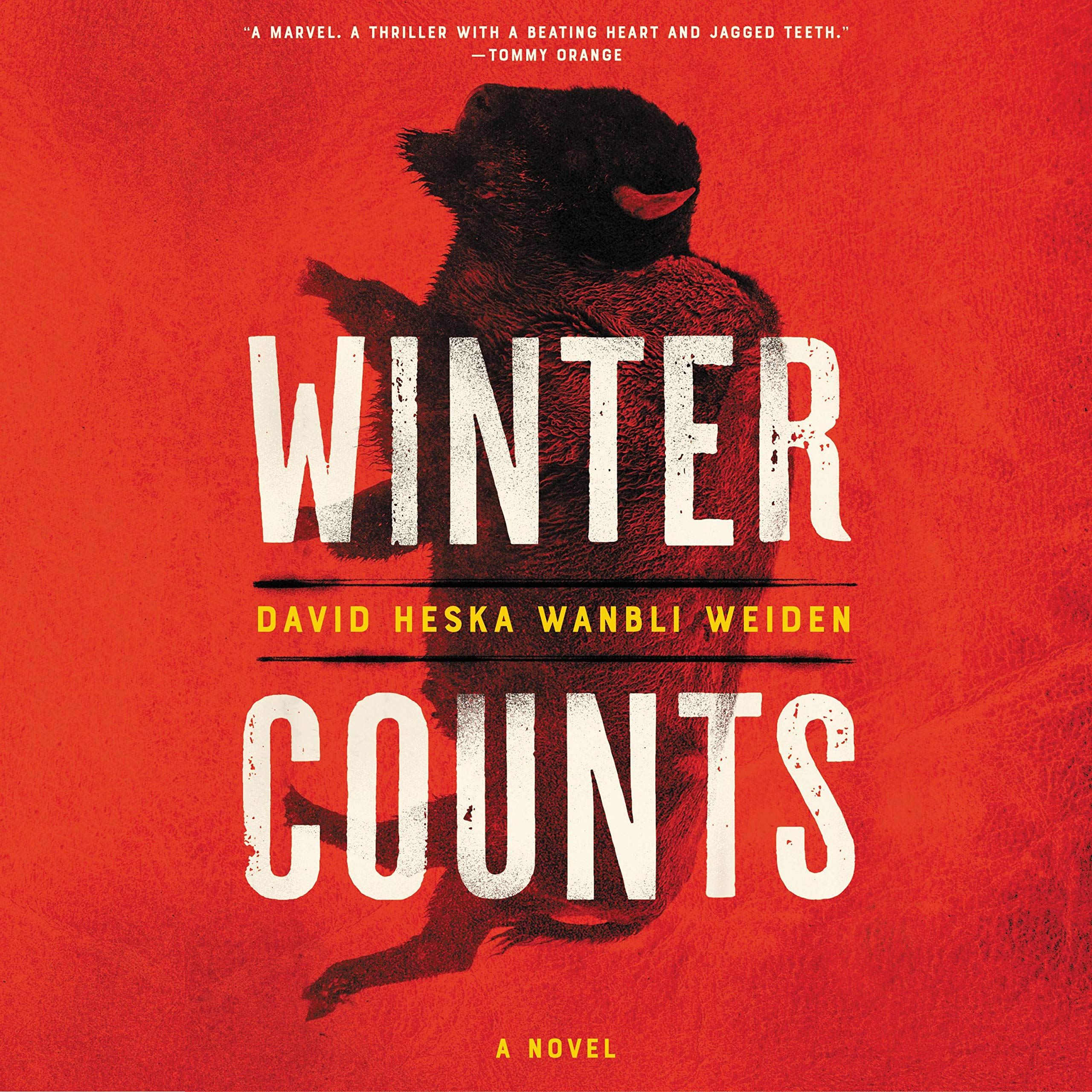 Cover art for Winter Counts
