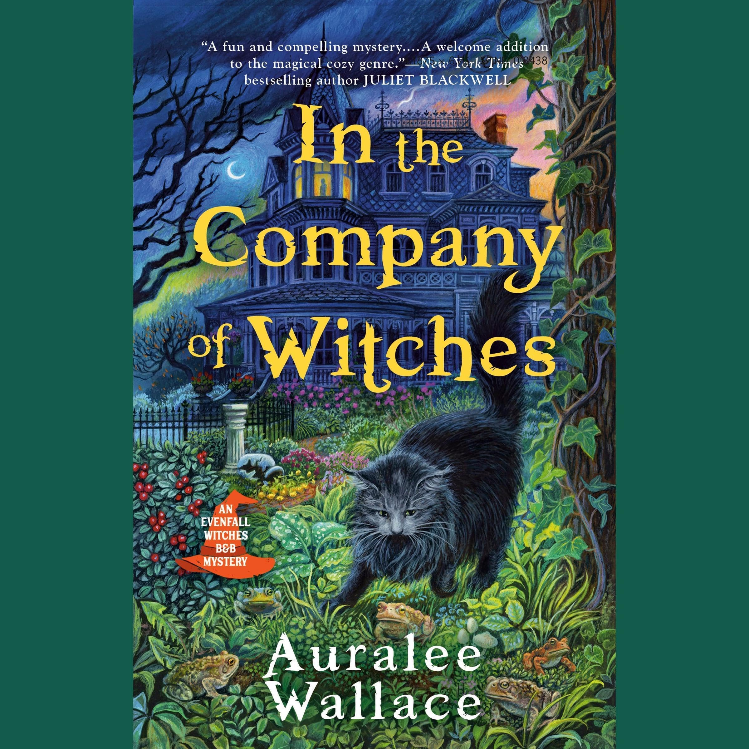 Cover art for In the Company of Witches