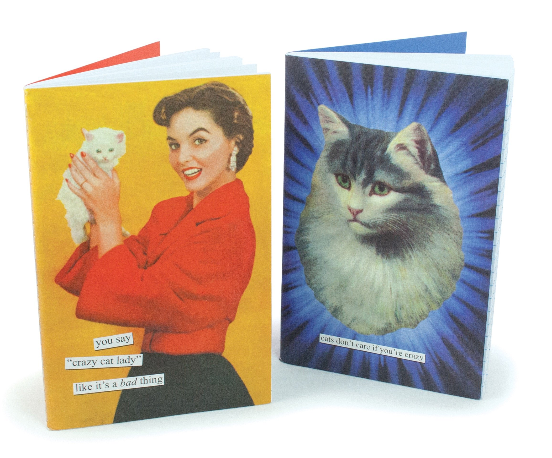 Anne Taintor Notebook Set - You Say "Crazy Cat Lady" Like It's A Bad Thing