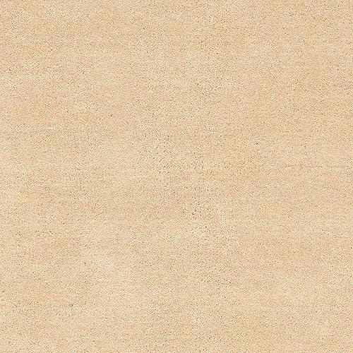 Miniatura 4 de SAFAVIEH Himalaya Collection - Alfombra de área de 8 x 10 pies, beige y multicolor, lana hecha a mano, ideal para zonas de alto tráfico en sala de