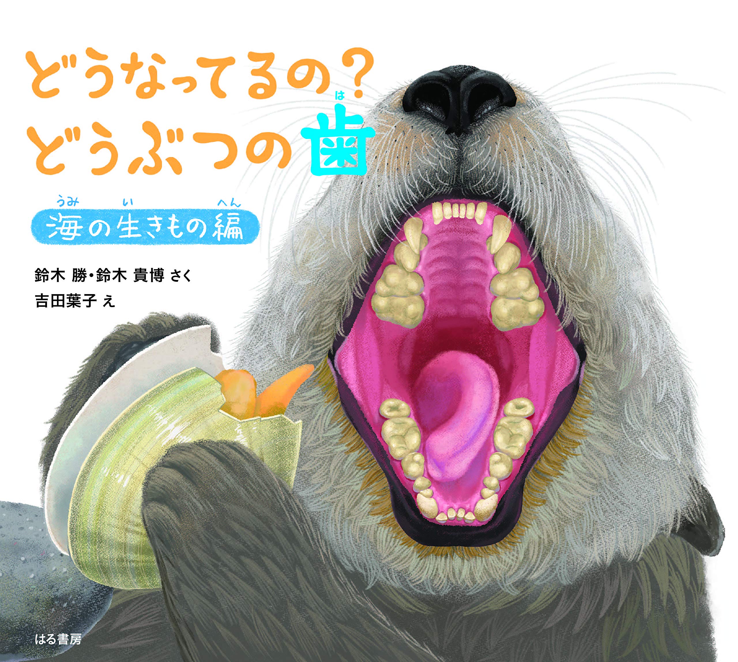 動物　歯 Amazon.co.jp: どうなってるの? どうぶつの歯 海の生きもの編 : 鈴木