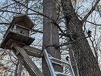 Review Image by Gerard B.