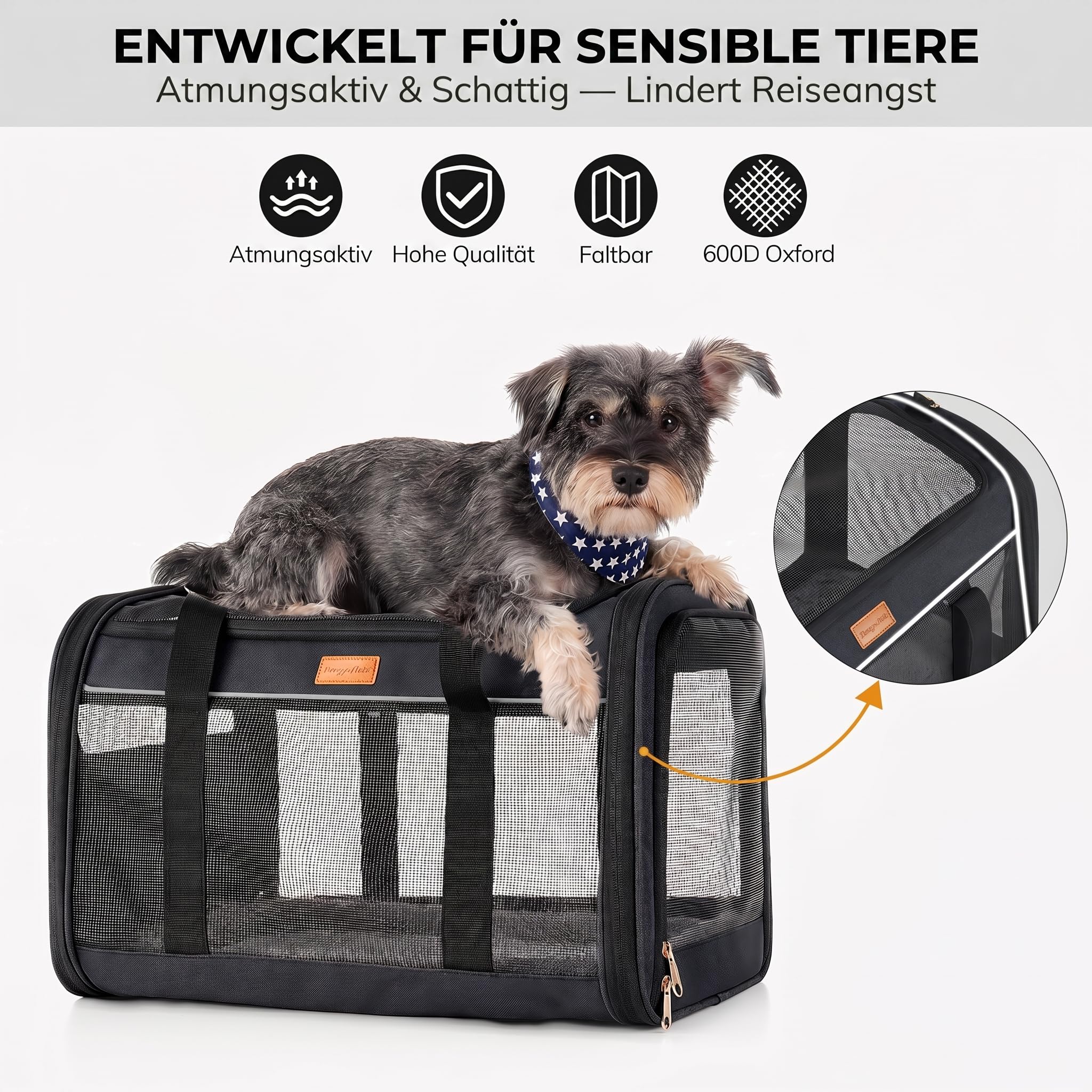 Morpilot Katzentransportbox für große Katzen & Welpen bis 12 kg, Transportbox Katze mit 4-seitigem Mesh, atmungsaktiv & komfortabel, Hundebox mit doppelseitiger weicher Unterlage und klappbarem Napf
