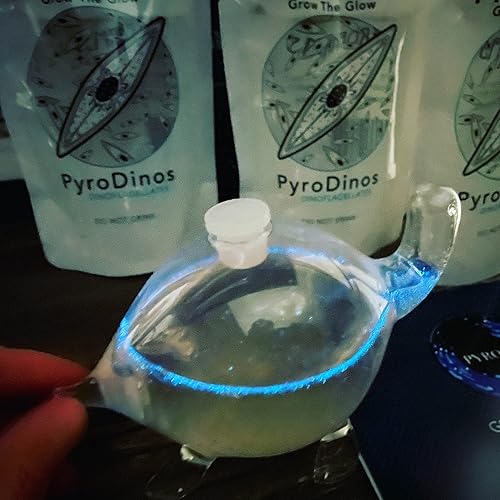 Miniatura 9 de The Living Bio-Turtle Bioluminiscente - Un microacuario de tortuga de vidrio relleno de plancton bioluminiscente brillante