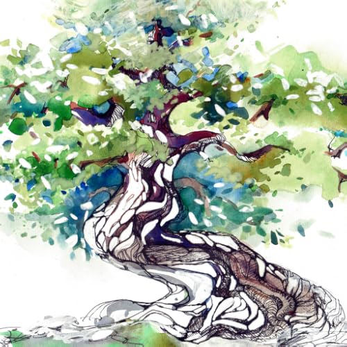 Bonsai Trees - How to Cultivate and Care for Bonsai Trees - //medicalbooks.filipinodoctors.org