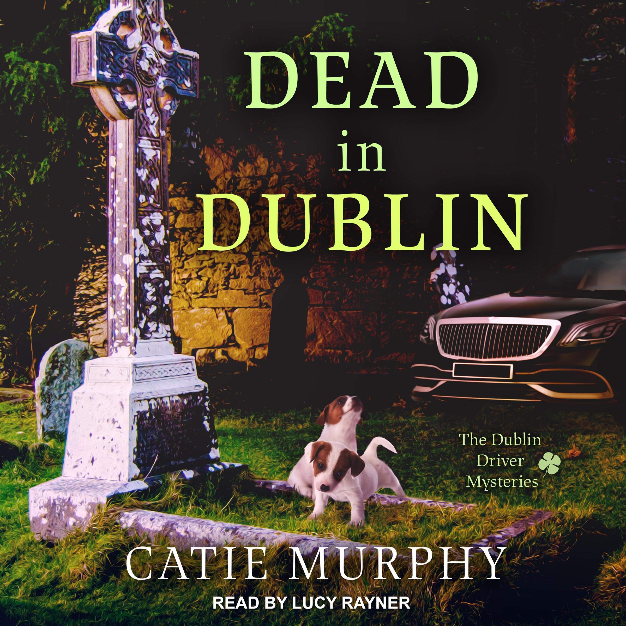 Cover art for Dead in Dublin