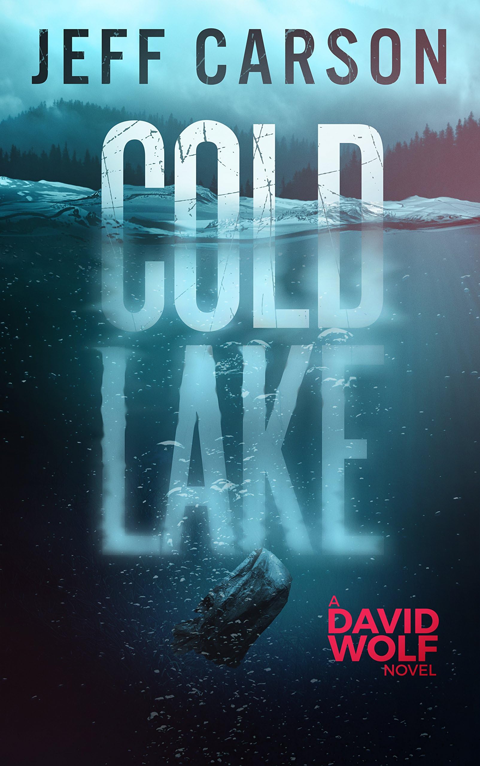 Cold Lake (David Wolf Mystery Thriller Series Book 5)