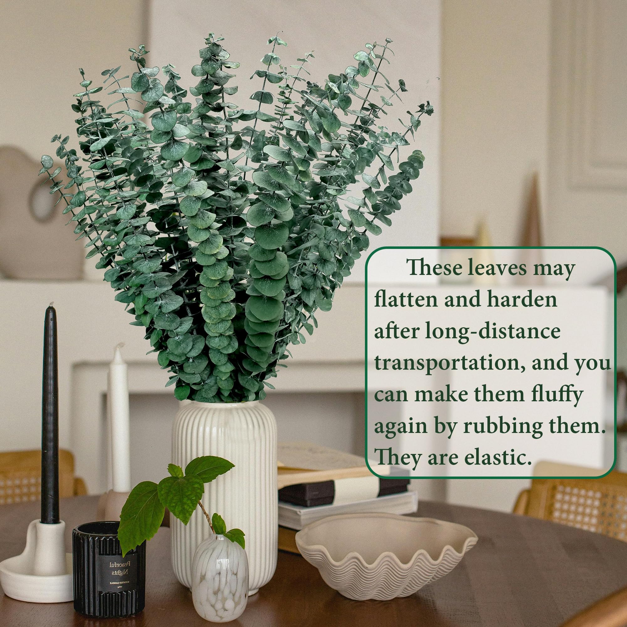 Lot De 12 Tiges D'eucalyptus Séchées Décoratives - Longueur ~45 Cm - Vert - Pour Vase, Mariage, Salle De Bain, Décoration Intérieure