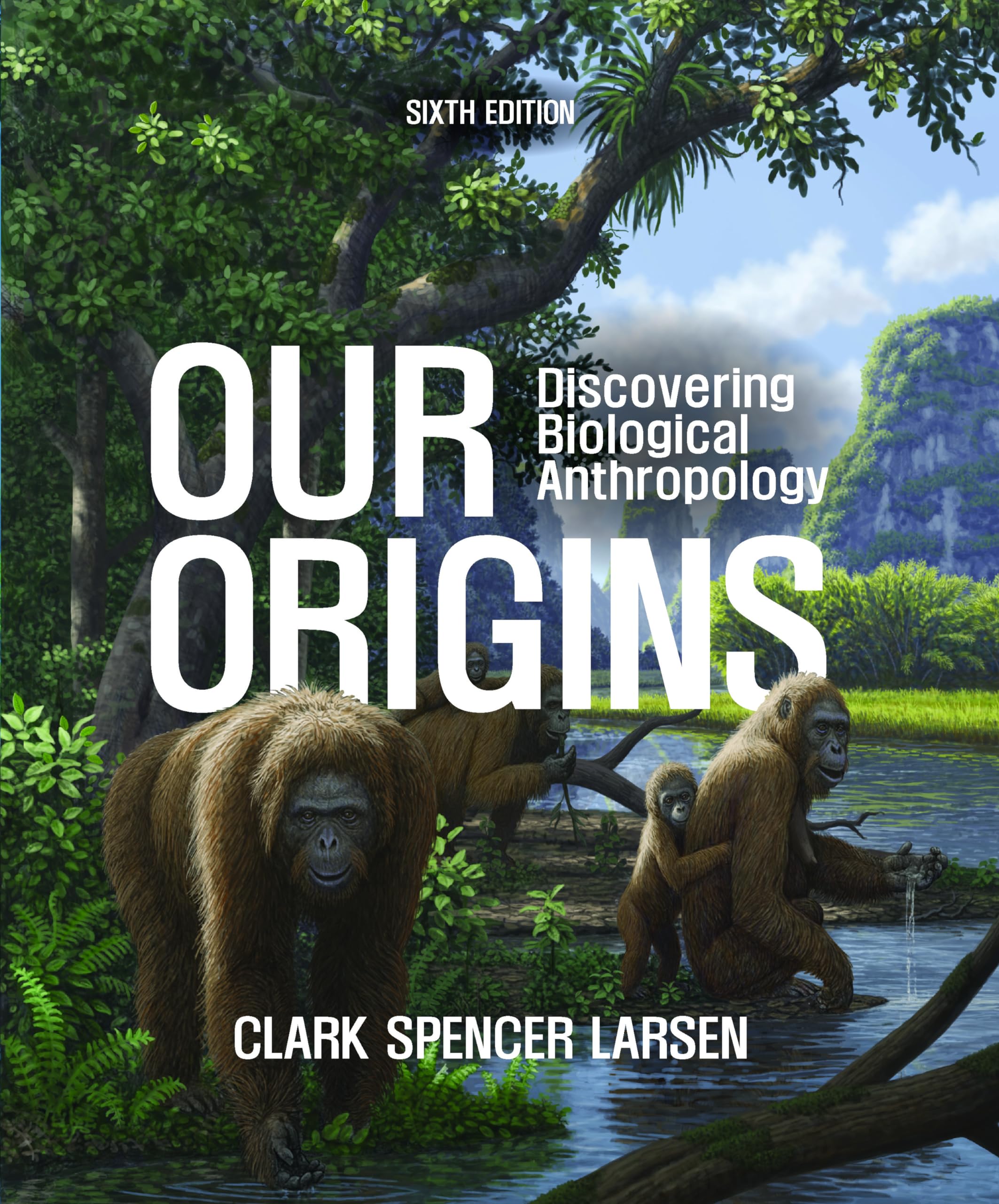 Our Origins: Larsen, Clark Spencer: 9781324073536: Sociology